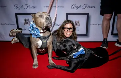 NYC celebrities rally to save pit bulls: ‘Things are worse now than they’ve ever been’