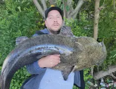 South Philly man reels in 72-pound catfish from Schuylkill River near new trail extension in Grays Ferry