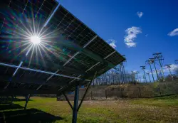 Trump budget seeks to slash $21 billion from renewable energy programs
